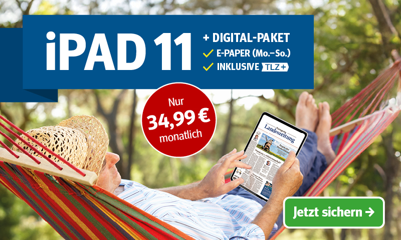 Mann entspannt in Hängematte und nutzt iPad 11 im Grünen. Angebot: Digitale Zeitung + iPad für 34,99 € im Monat.
