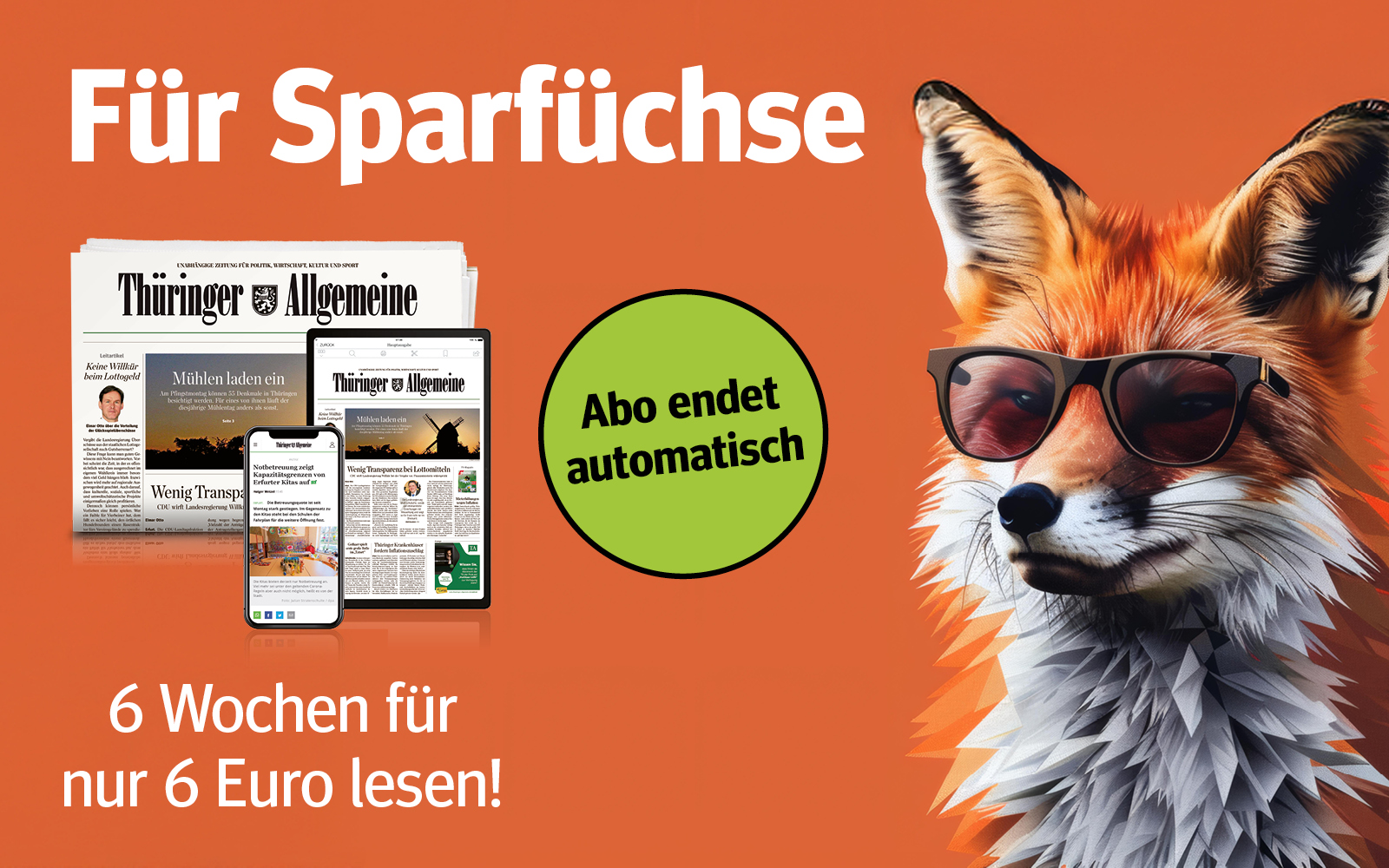 6 Wochen für 6 Euro lesen