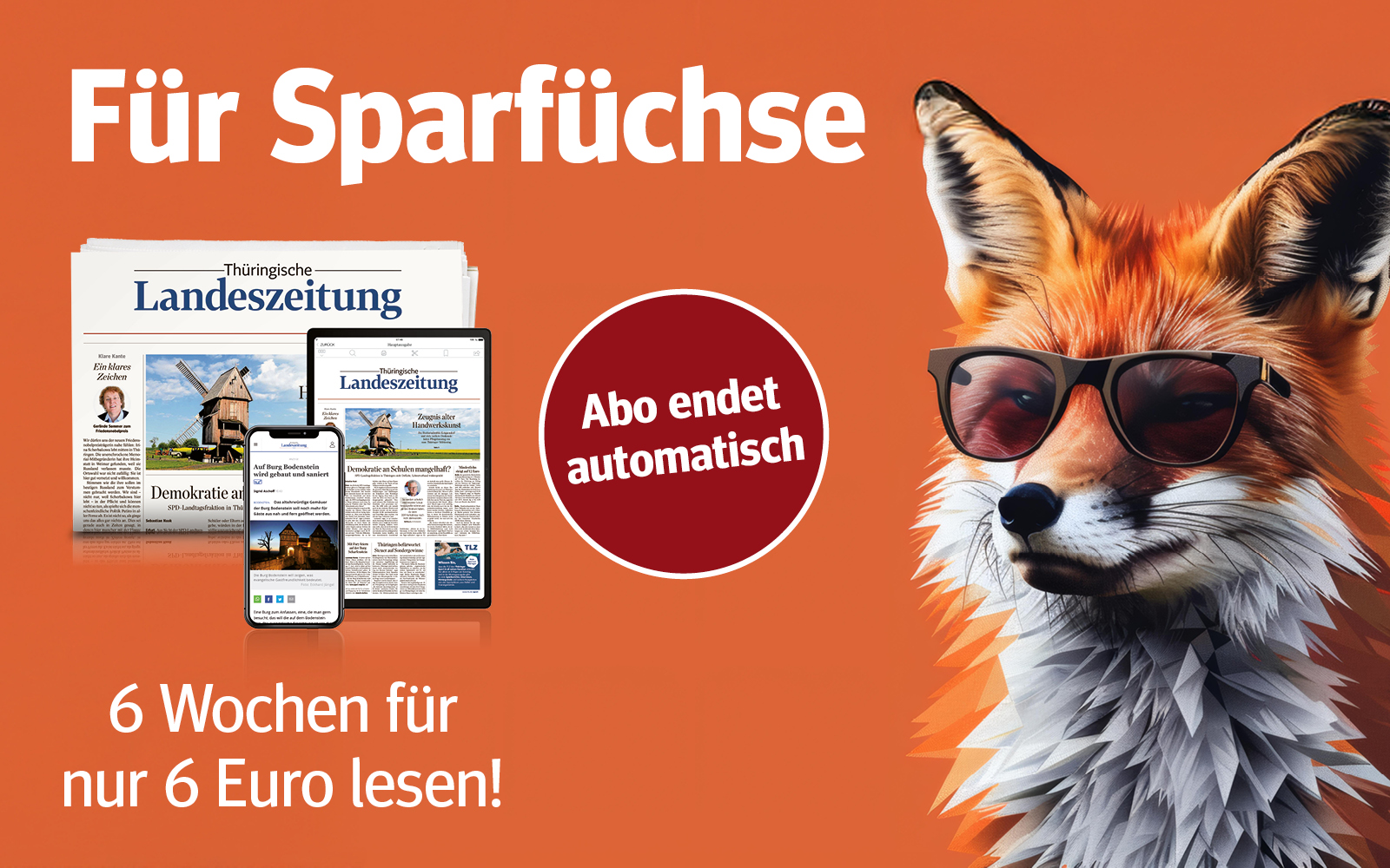 6 Wochen für 6 Euro lesen